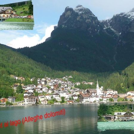 Appartamenti Chalet Al Lago อัลเลเก ภายนอก รูปภาพ